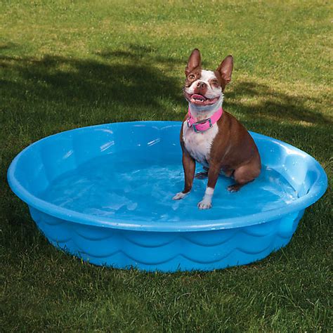 Dog bath at petsmart - With over 1,500 stores nationwide, you can find the products, PetSmart Grooming, training, PetsHotel boarding, Doggie Day Camp, and Banfield veterinary services you need. see all locations 10,748,062 lives saved.